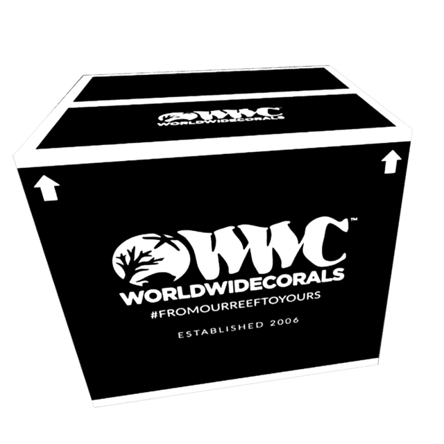 Fall is Here! Time to Get Ready for WWC's Fragtoberfest Live Sale! 3000